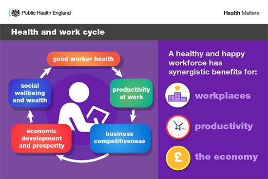 Health and Work cycle